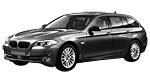 BMW F11 B20F1 Fault Code
